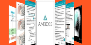 Amboss Access