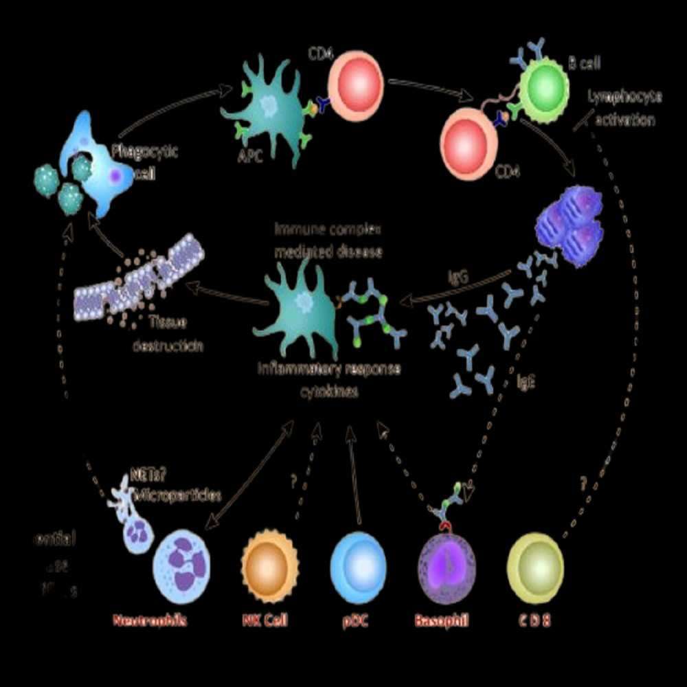 Immunology