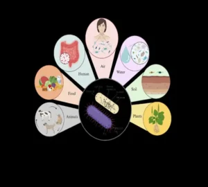 Tiny Patients, Big Germs: Mastering Pediatric Infectious Diseases