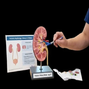 Pediatric nephrology Essentials